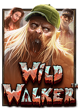 เว็บ สล็อต xo เปิด ใหม่ 2021: สูตรและเทคนิคการเล่น